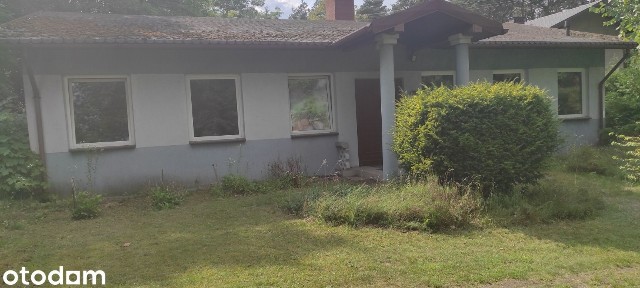 Wynajem domu wolnostojącego ze stawem na dużej działce. FAKTURA.