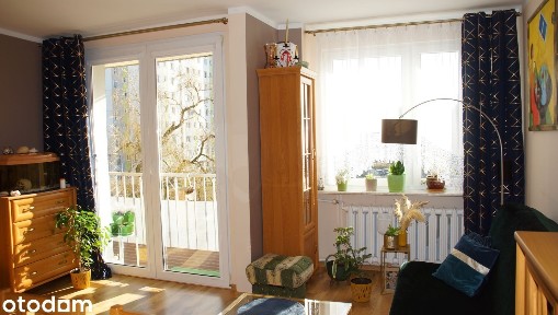 Osiedle Piastowskie, Centrum, Zielona Góra, lubuskie