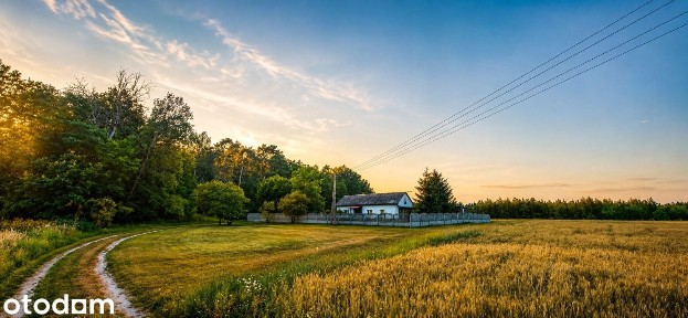 Wyjątkowy dom bez sąsiadów - cisza, natura i pełna prywatność