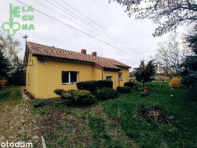 Dom w Kutnie w cenie mieszkania, Działka ok 2500 m2