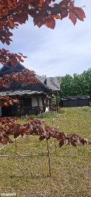 Dom z duszą w otoczeniu lasu i jeziora
