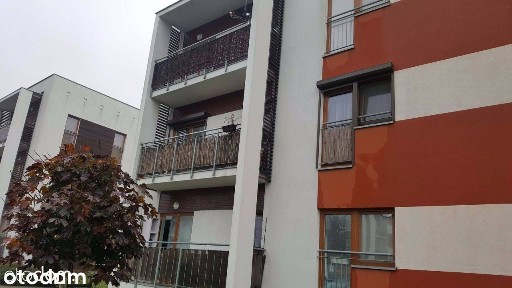 os. Osiedle Kalinowe, Rokietnica, poznański, wielkopolskie