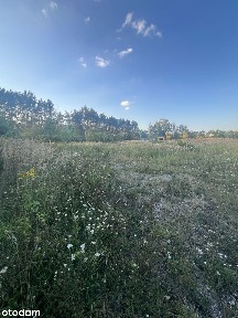 Wynajmę obiekt w doskonałej lokalizacji z działką 8900 m2 (Węzeł A1)