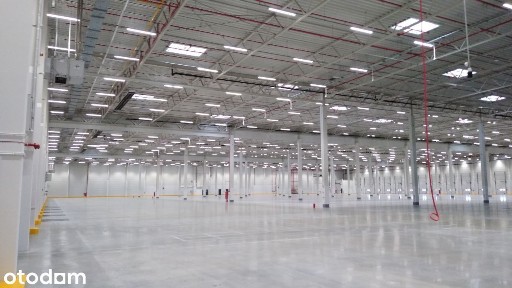 NOWY magazyn 2350 m2 Plewiska S11 A2! k. m. Poznań