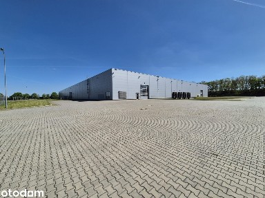 Kietrz - nieruchomość produkcyjna 12.29 ha