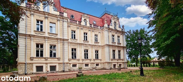 Niewodniki, Dąbrowa, opolski, opolskie