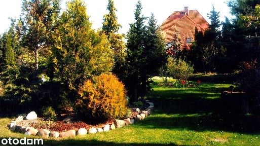 Dom + siedziba firmy 560 m² - Radłów przy Ostrowie Wlkp.