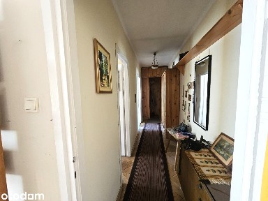 2 pokoje z widną, dużą kuchnią w prestiżowej lokalizacji. Zieleń,metro