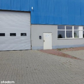 Hala - Magazyn 2590m2 z biurami, Zielona Góra, lubuskie