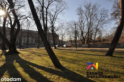 Zabytkowe Podziemia Nieopodal Zamku W Żarach