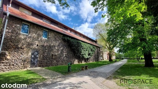 ✨Lokal z ogromnym potencjałem✨ w centrum Żar