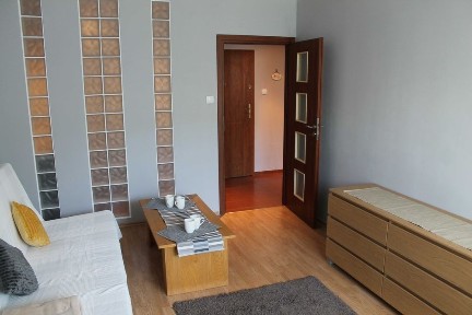 Atrakcyjne mieszkanie na Piątkowie