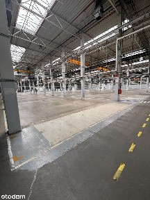 Magazyn off market okolice Rrzeszowa / 30 tyś m² / 0% prowizji