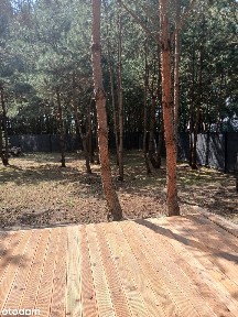 Dom pasywny przy lesie - własny lasek, śpiew ptaków, jezioro. Od zaraz
