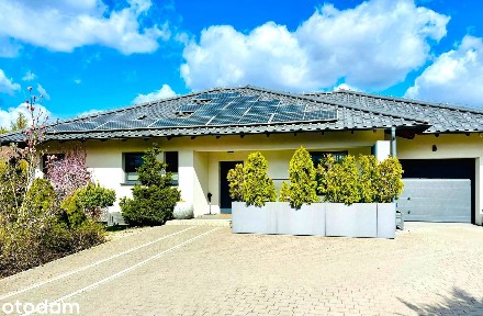 Dom wolnostojący + niezależny domek 40m idealny pod biznes lub wynajem