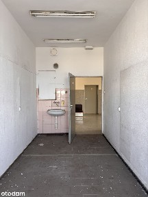 Lokal użytkowy nr 630 do wynajęcia w centrum Szczecina