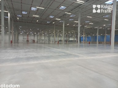 Magazyn A-klasowy w Strykowie | 50 000 m2