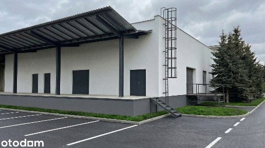 Hala produkcyjno-magazynowa z biurami | 1362 m² | Teofilów Przemysłowy