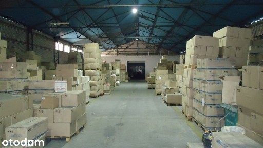Hala 240-1200m2 Biała