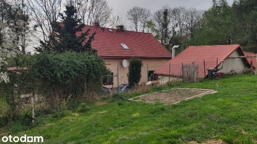 Na sprzedaż dom z działką 1,5682ha, Mieszkowice