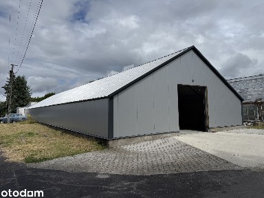 Nowa hala magazynowa 770 m² do wynajęcia - Tarnowo Podgórne