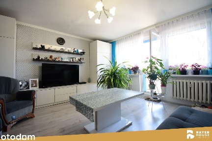 2 Pokoje | Balkon | Osiedle Curie-Skłodowskiej