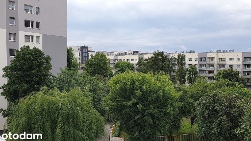 Przestronne mieszkanie 62 m² blisko Silesia City, biur i Parku Śl.