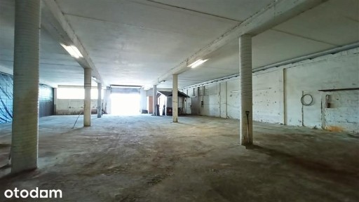 Lokal użytkowy - Gdynia Leszczynki