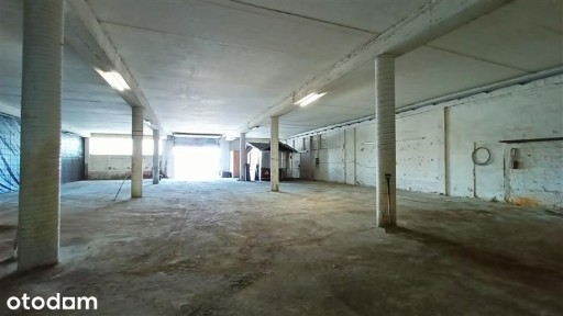 Lokal użytkowy - Gdynia Leszczynki