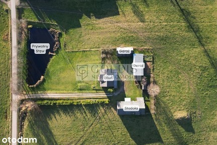 Dom z dużą działką, budynkami i stawem