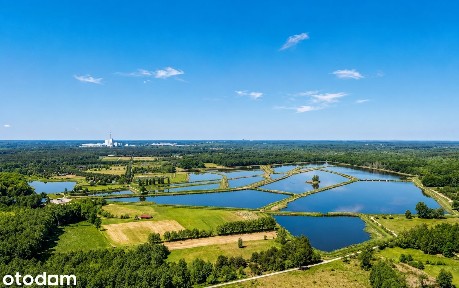 *Klimatyczny dom 112 m² * piękna działka 3070 m² *