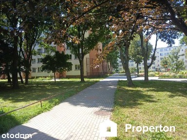 2 pokojowe, 32 m kw - Zgliczyńskiego - do remontu