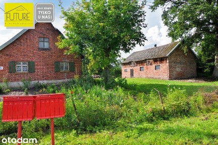 Siedlisko na żuławach w miejscowości Solnica