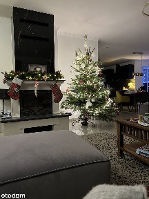 Wolnostojący dom z piwnicą i ogrodem w mieście- nad samym jeziorem.