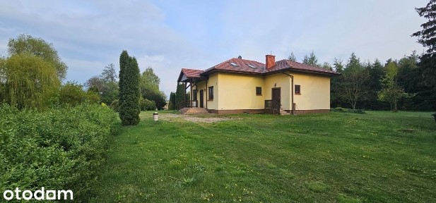 Dom, 165 m², Strzelce