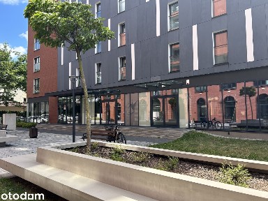 Lokal 80 m² w centrum Wrocławia! Tęczowa 29 C Halo Apartamenty