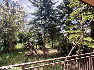 Opoczno, opoczyński, łódzkie