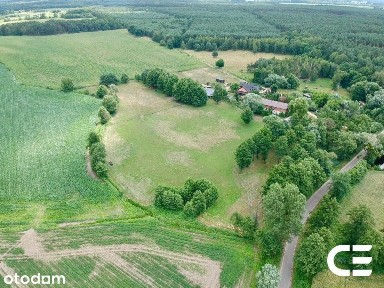 Siedlisko 2,3 ha | zabudowania | cisza | Zbytowa
