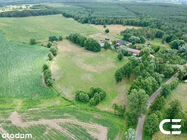 Siedlisko 2,3 ha | zabudowania | cisza | Zbytowa