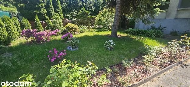 591SDom przy ul. Mikołowskiej, Brynów