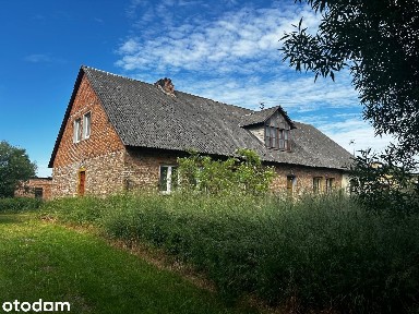 syndyk sprzeda lokal w miejscowości Jeżew