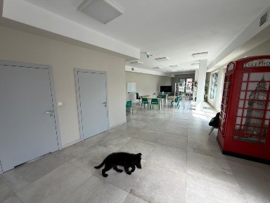 Lokal usługowo-biurowy 80 m² | Centrum Myszkowa | Parking | Klimatyzacja | WYSOKI STANDARD