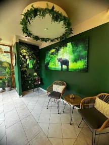 Gotowy salon SPA pod klucz - pełne wyposażenie w cenie | Lublin Choiny, wolnostojący + parking