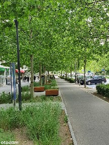 Świętokrzyska/Marszałkowska 31 m2 lokal na biuro