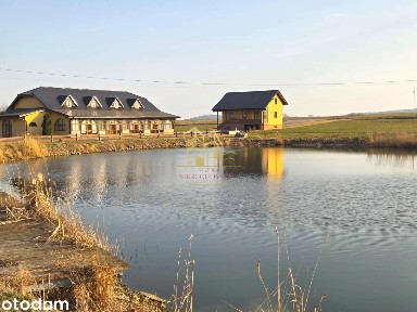 Lutomierz, Stoszowice, ząbkowicki, dolnośląskie
