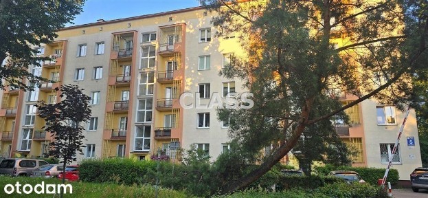 Mieszkanie w Centrum przy Parku Ludowym