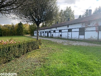 MAGAZYN/HALA - 530 M2 - LAMPA 80, GM. CHMIELNO + PLAC