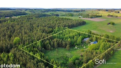 Podwysokie Jeleniewskie, Jeleniewo, suwalski, podlaskie