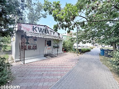 Kwiaciarnia | Pawilon 39 m² - doskonała lokalizacja, ok C.H. ASTRA