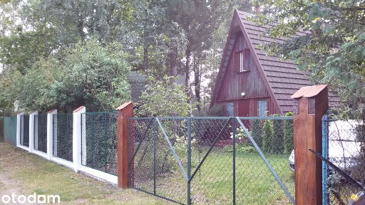 Dom drewniany nad jeziorem w Brudzeńskim Parku Krajobrazowym